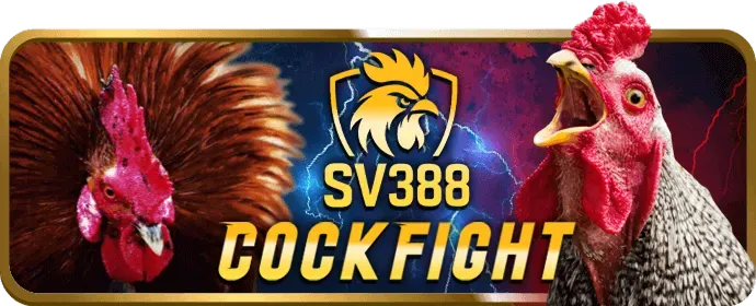 Khuyến Mãi Haybet Win